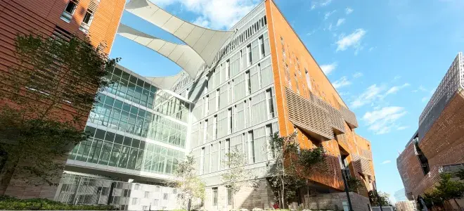 College of Engineering and Petroleum 